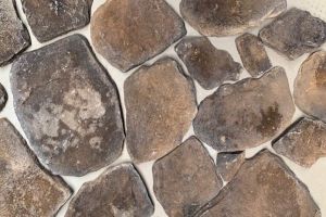 Flagstone Brown